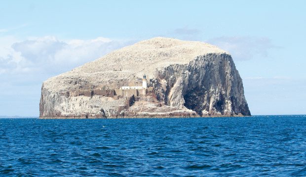 cruising-around-Britain-small-boat-rhea-grimsby-to-wick-bass-island-north-berwick-credit-nigel-boutwood