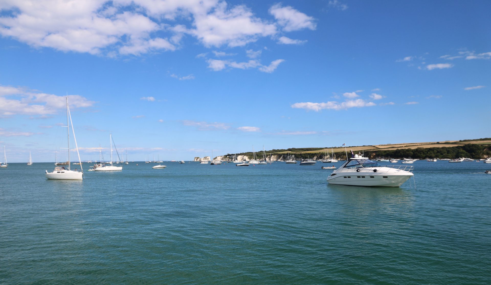 Studland Bay consultation Government considers boating ban