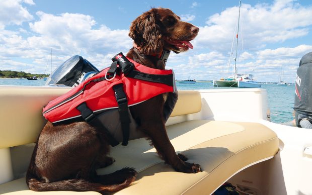 Editors-Choice-Red-Original-Dog-Buoyancy-Aid-credit-Red-Original