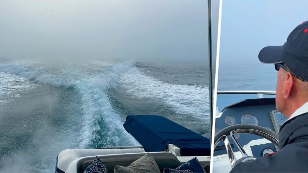 navigating-in-fog-wonky