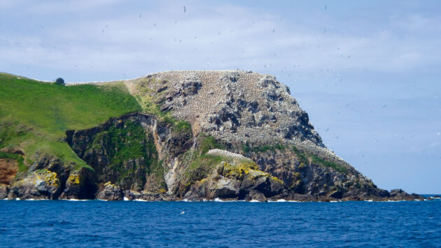 The seagull-speckled crags of the Sept Îles
