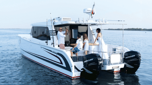 SilverCat 40