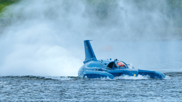 Bluebird