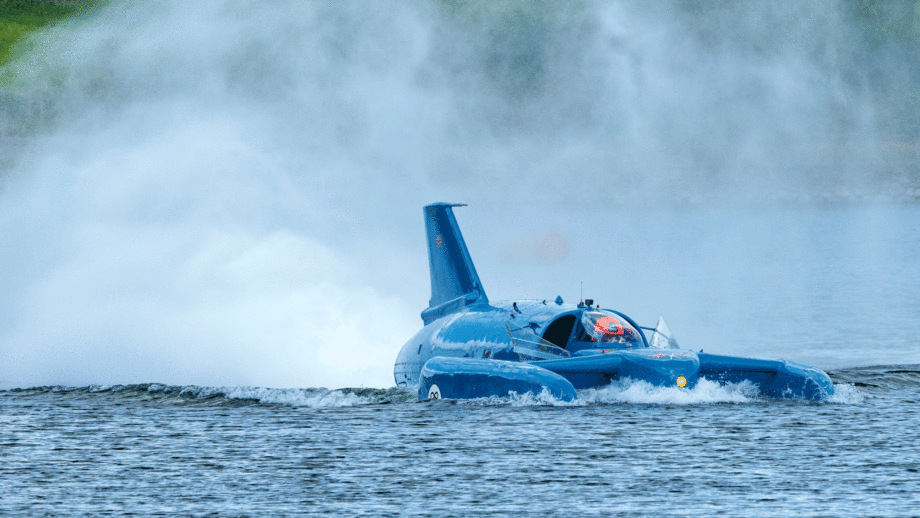 Bluebird