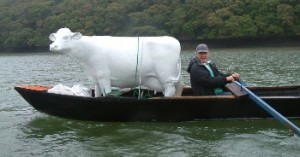 King Harry Cow Stolen