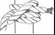 Rolling hitch
