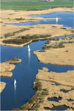 Hickling Broad