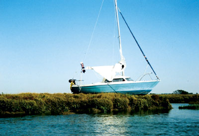 Marlin aground - Dave Selby column Feb 2010