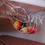 Fruit in a net
