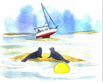 Dave Selby Podcast November 2010