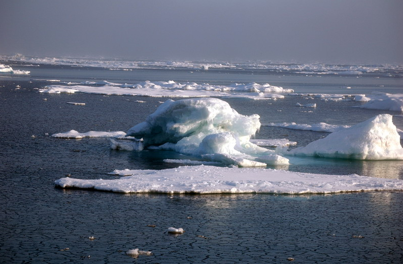 east siberian sea jeffrey allison
