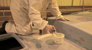 Epoxy Primer on the PBO Project Boat