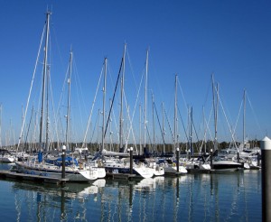 Hamble Point Marina