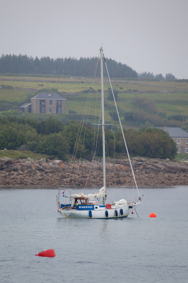 Windrose - the yacht on which a Dutchman tragically died after falling from the mast. Picture- Chris Hall