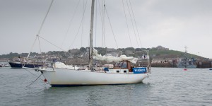 Windrose - the yacht on which a Dutchman tragically died after falling from the mast. Picture- Chris Hall