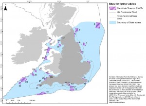 Tranche 2 of MCZs in English waters