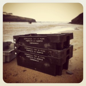 Sillon Wreck, Merlin Farm Holiday Cottages Cornwall