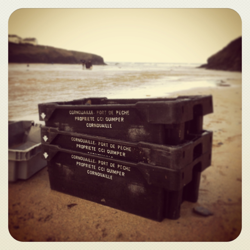 Sillon Wreck, Merlin Farm Holiday Cottages Cornwall