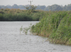 Shallow water on the broads