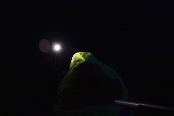 Spinlock Pylon Light