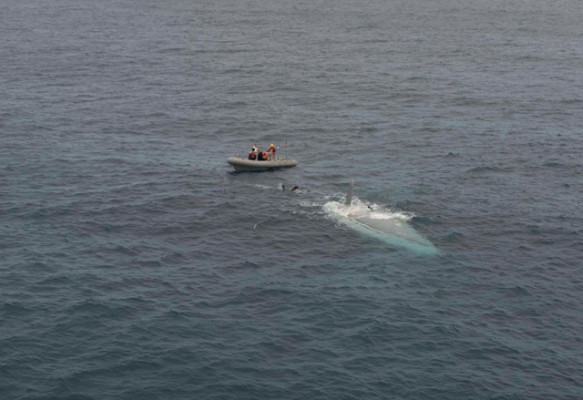 Cheeki Rafiki’s upturned hull being inspected by the US Navy. Image courtesy of US Coast Guard