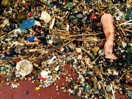 Plastics on the beach at St. Bees. Credit: Trevor Morton