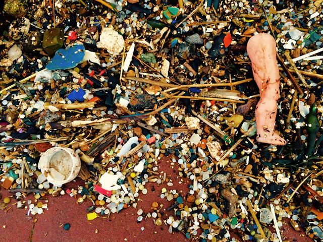 Plastics on the beach at St. Bees. Credit: Trevor Morton