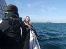 Round The Island 2015