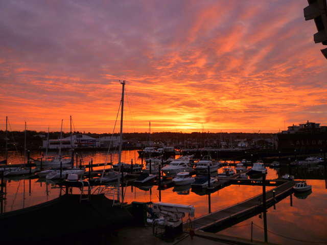 Cowes Yacht Haven