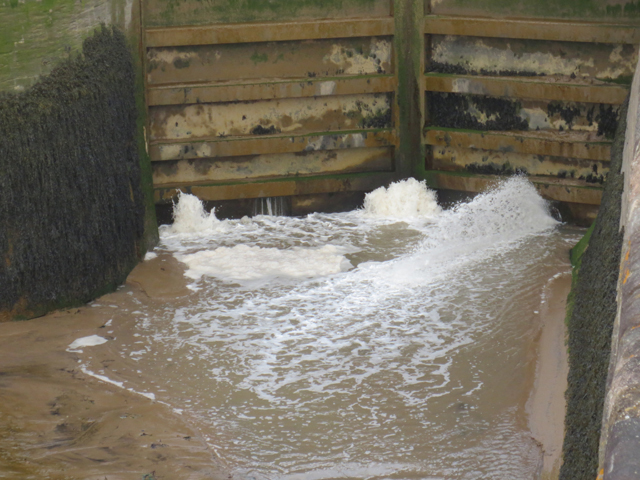 Leaking harbour gates at Lydney. Credit: Paul Hayes