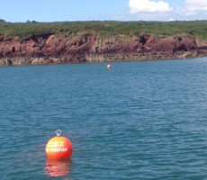 New day visitor moorings have been installed to protect seagrass in the Milford Haven Waterway