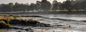 Hamble River - Historic wreck identified – believed to be Henry V’s 600-year-old great ship