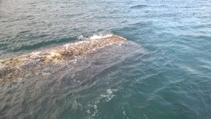Rocket debris found near the Isles of Scilly. Credit: MCA