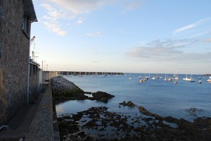 Alderney. Credit: Ben Meakins