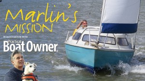 Marlin's Mission_Dave Selby