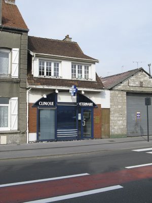 The French vet’s