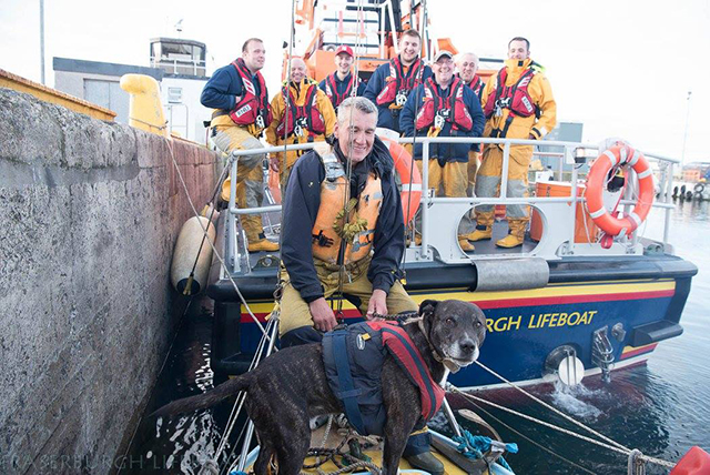 Reniflez le sauvetage des chiens de mer.  Crédit : Fraserburgh Lifeboat