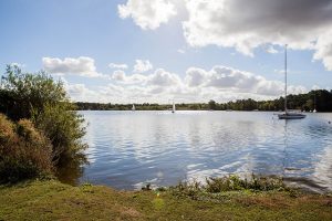 Wroxham Broad. Credit: www.norfolk-broads-review.co.uk