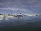 Chichester Marina (Premier)
