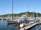 Darthaven Marina