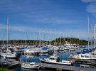 Craobh Marina