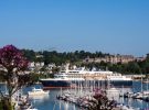 Dart Harbour & Navigation Authority
