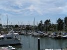 Emsworth Yacht Harbour