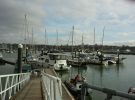 Ocean Quay Marina