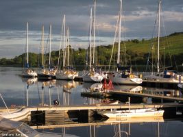 Seaton's Marina
