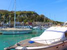 Dover, Wellington Dock