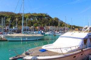 Dover, Wellington Dock