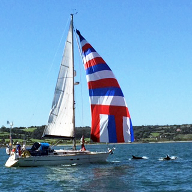 ARC Channel Islands Rally Leg 2 dolphins