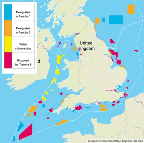 Report calls for 48 new Marine Conservation Zones Practical Boat Owner