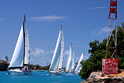 World Cruising Club